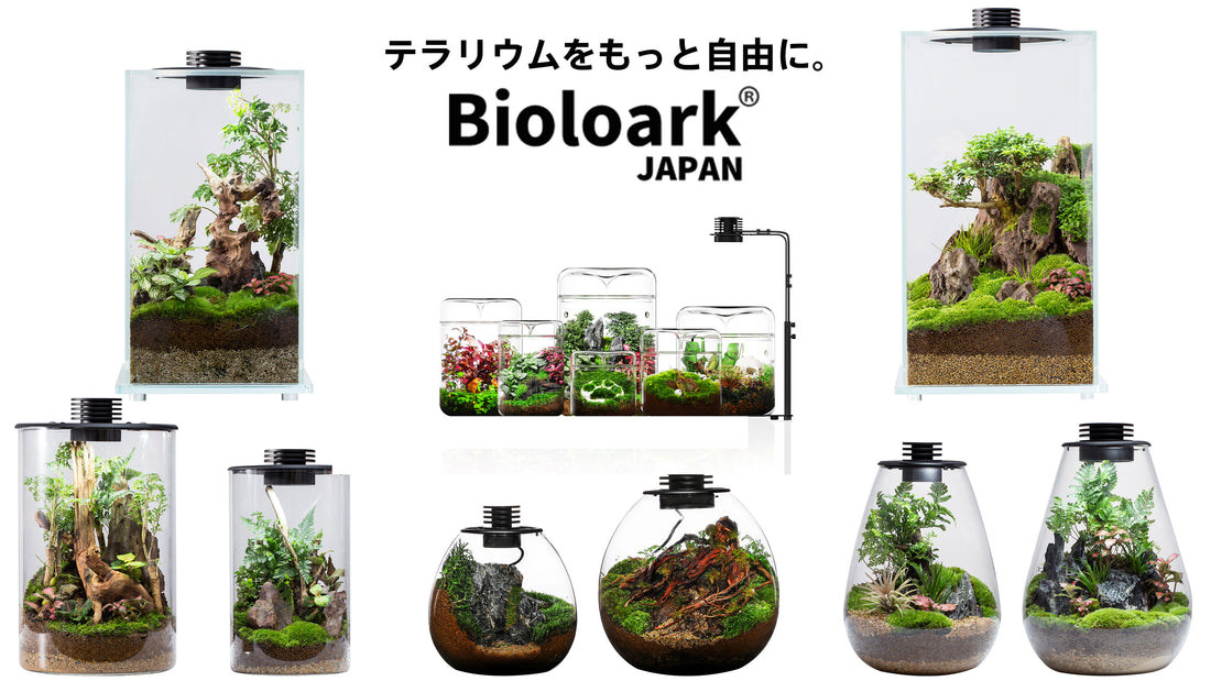 Bioloark Japanをよろしくお願いいたします