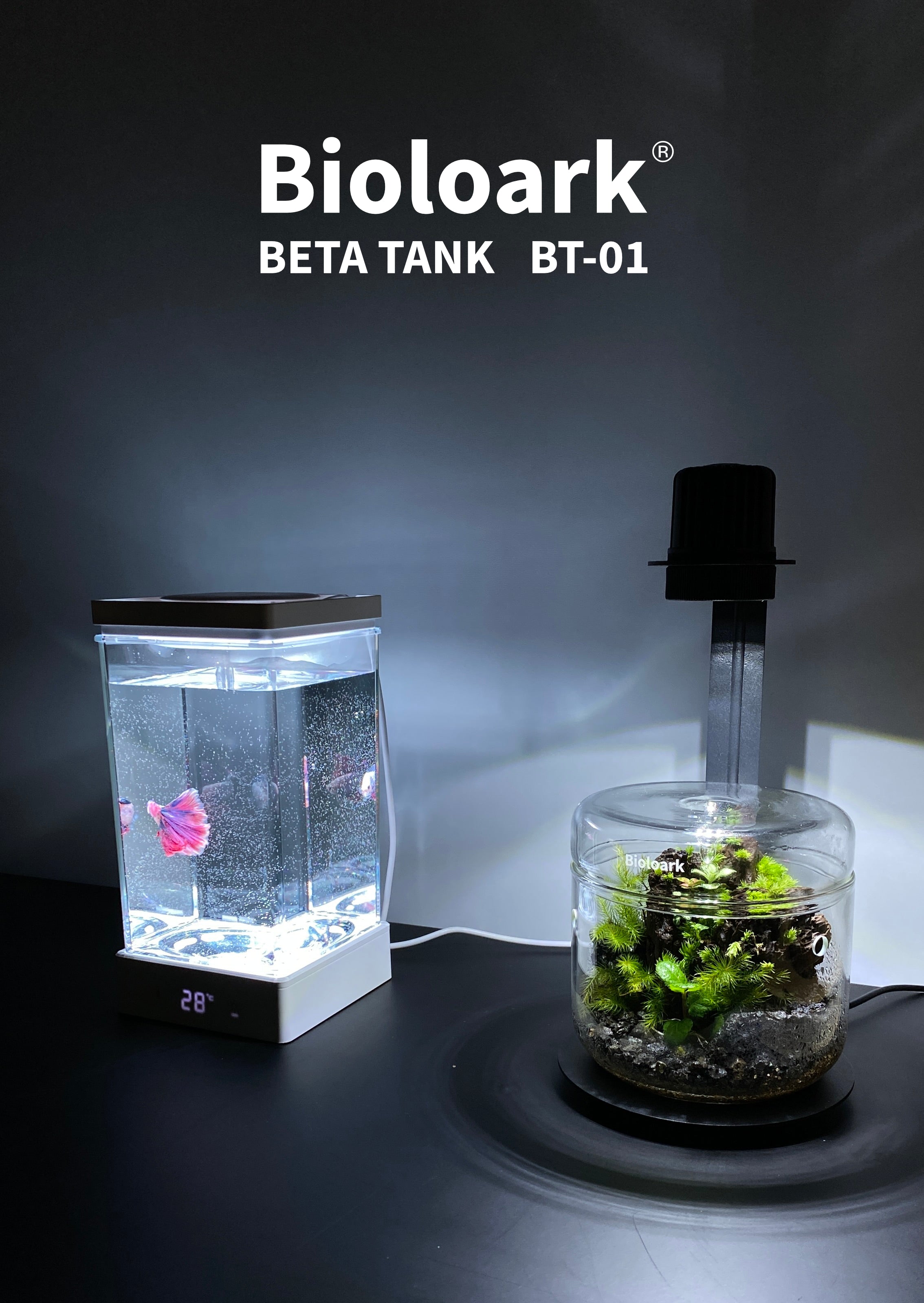 BETA TANK ベタ専用照明ヒーター付き水槽 BT-01 – Bioloark Japan