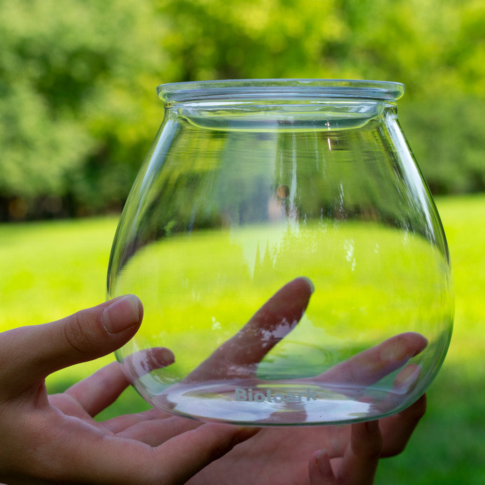 テラリウム専用容器 Bubble cup シリーズ テラリウム容器ブランド